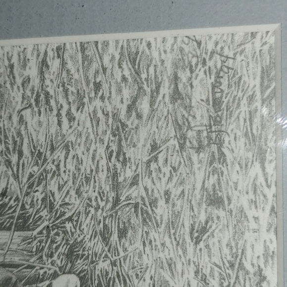 Framed Limited Edition Pencil Art Piece By Re-knowned Artisan Bernie Brown - Picture 2 of 3